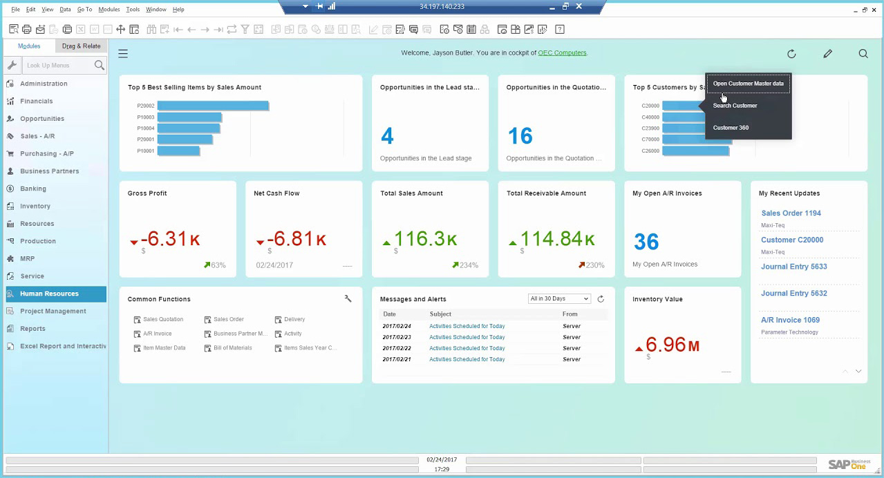 SAP Business One